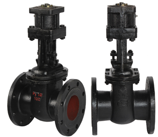 Задвижка 30ч906бр чуг. под э/п DN80 РN16(10) (Картинка 2)